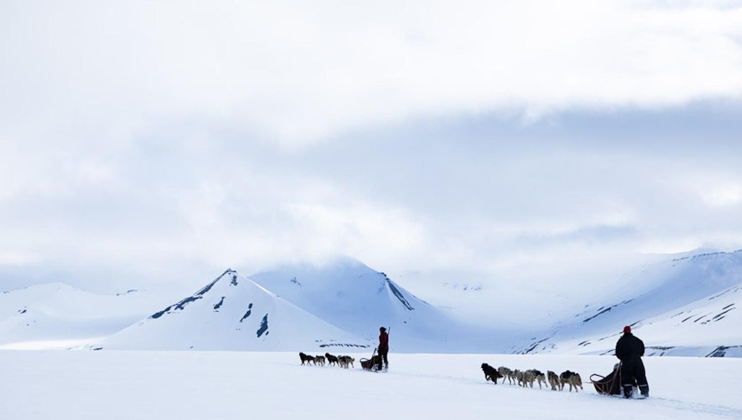 Two sled teams out on a tour
