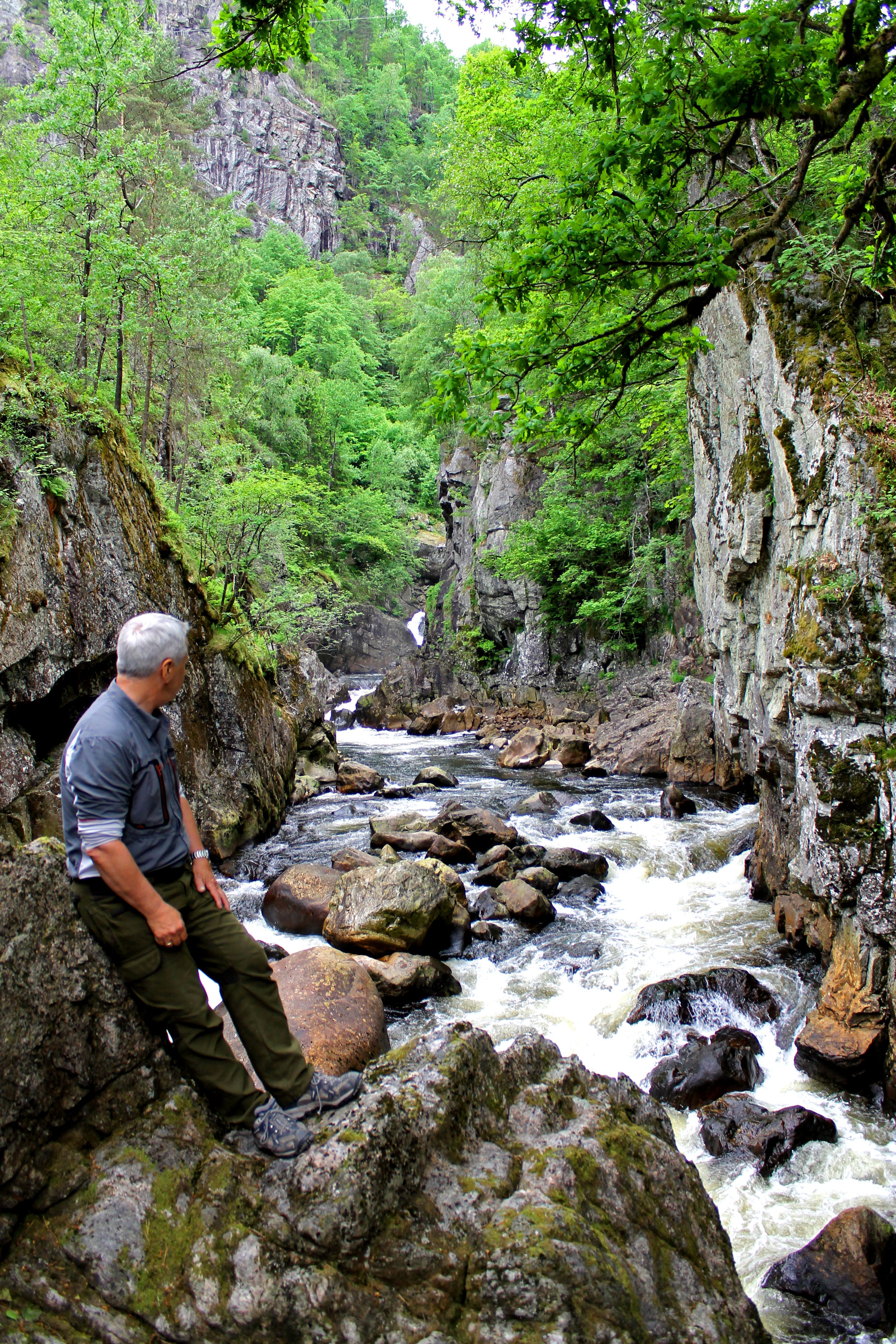 Kvåsfossen natur