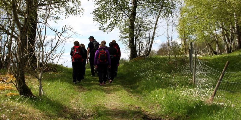 Pilegrimsvandring fra Stiklestad-til-Munkeby Herberge-Vandringen går langs en sti gjennom skogen