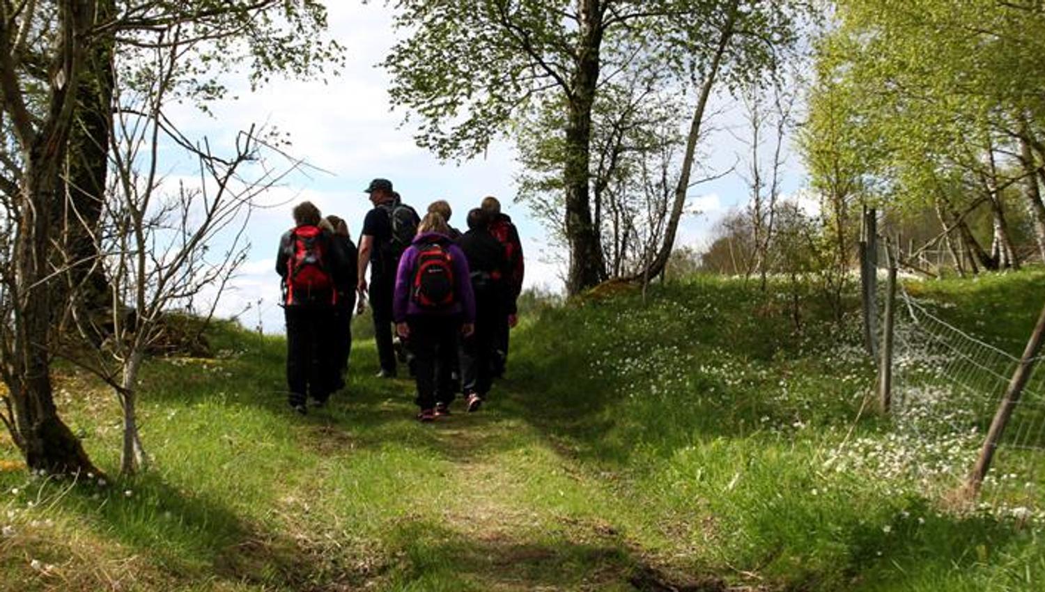 Pilegrimsvandring fra Stiklestad-til-Munkeby Herberge-Vandringen går langs en sti gjennom skogen