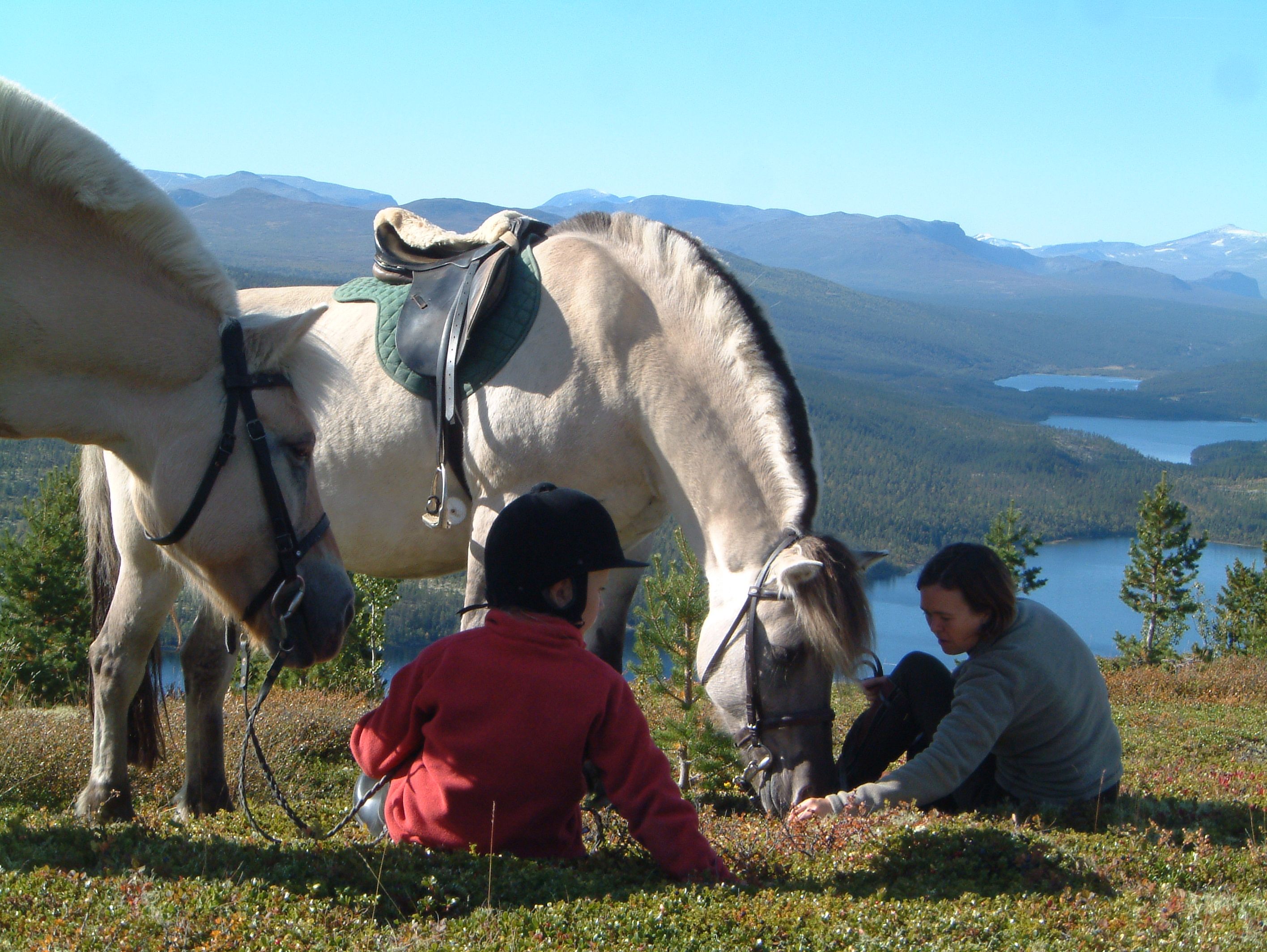Children and adults enjoying horsebackriding
