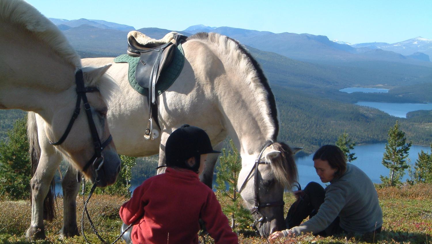 Children and adults enjoying horsebackriding