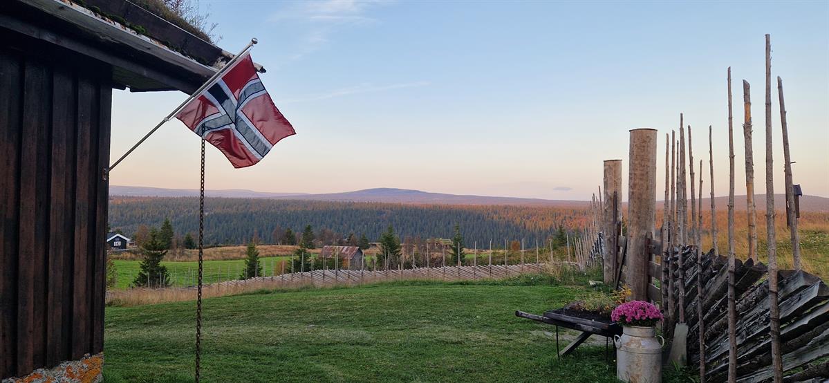 The Norwegian flag