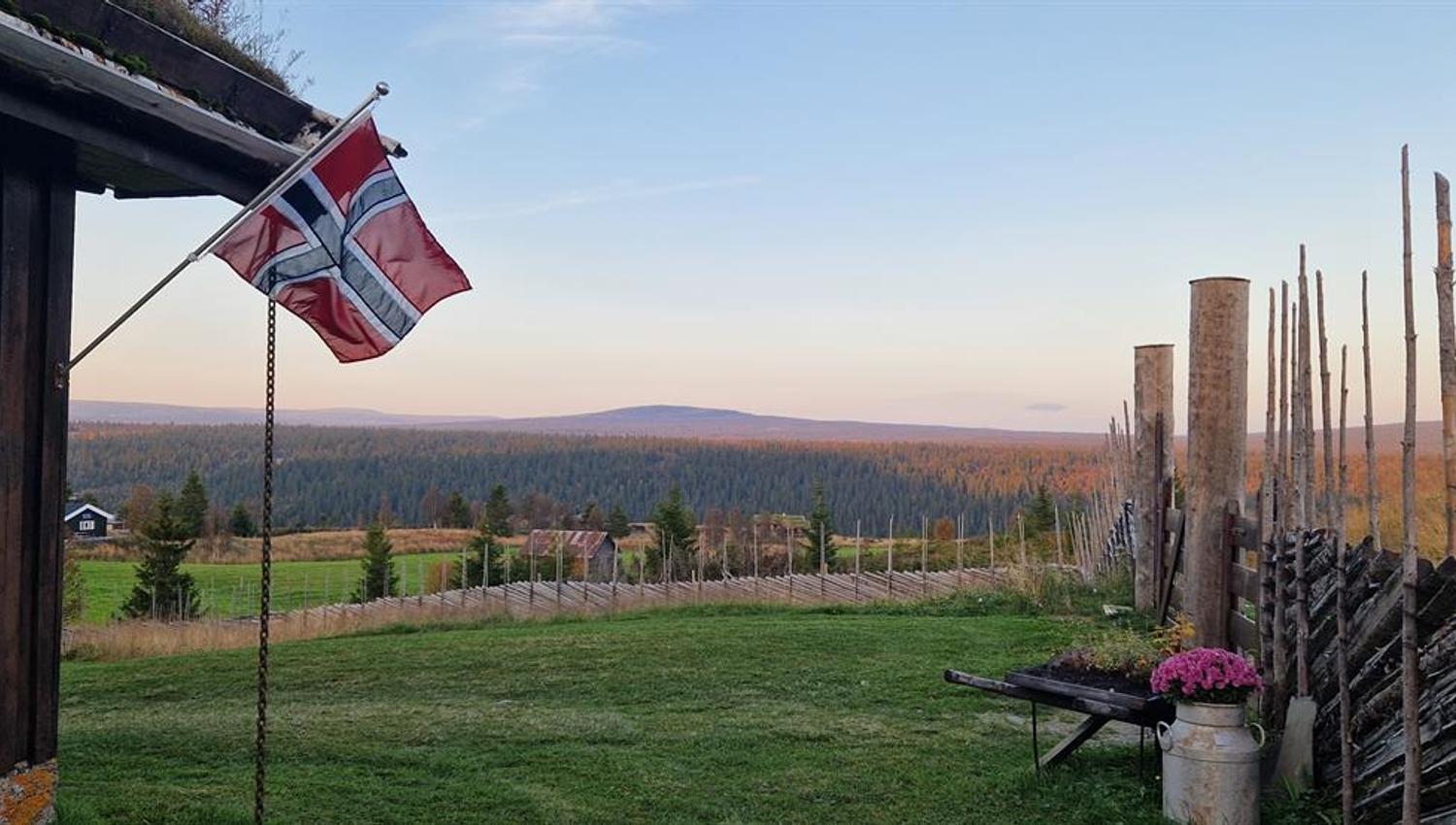 The Norwegian flag
