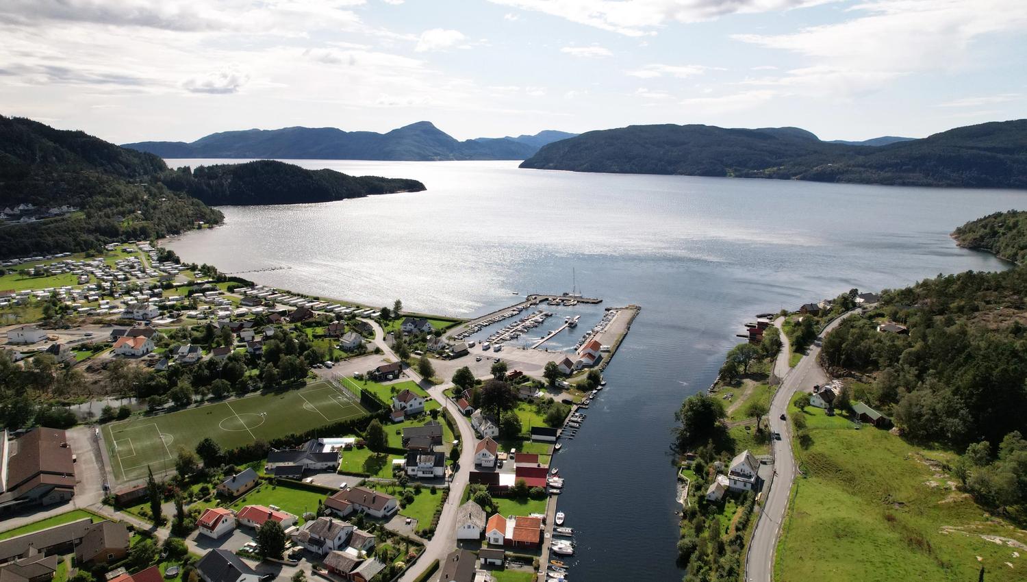 Vikedal