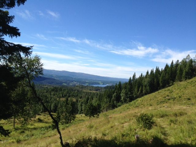 Dravlanseteren