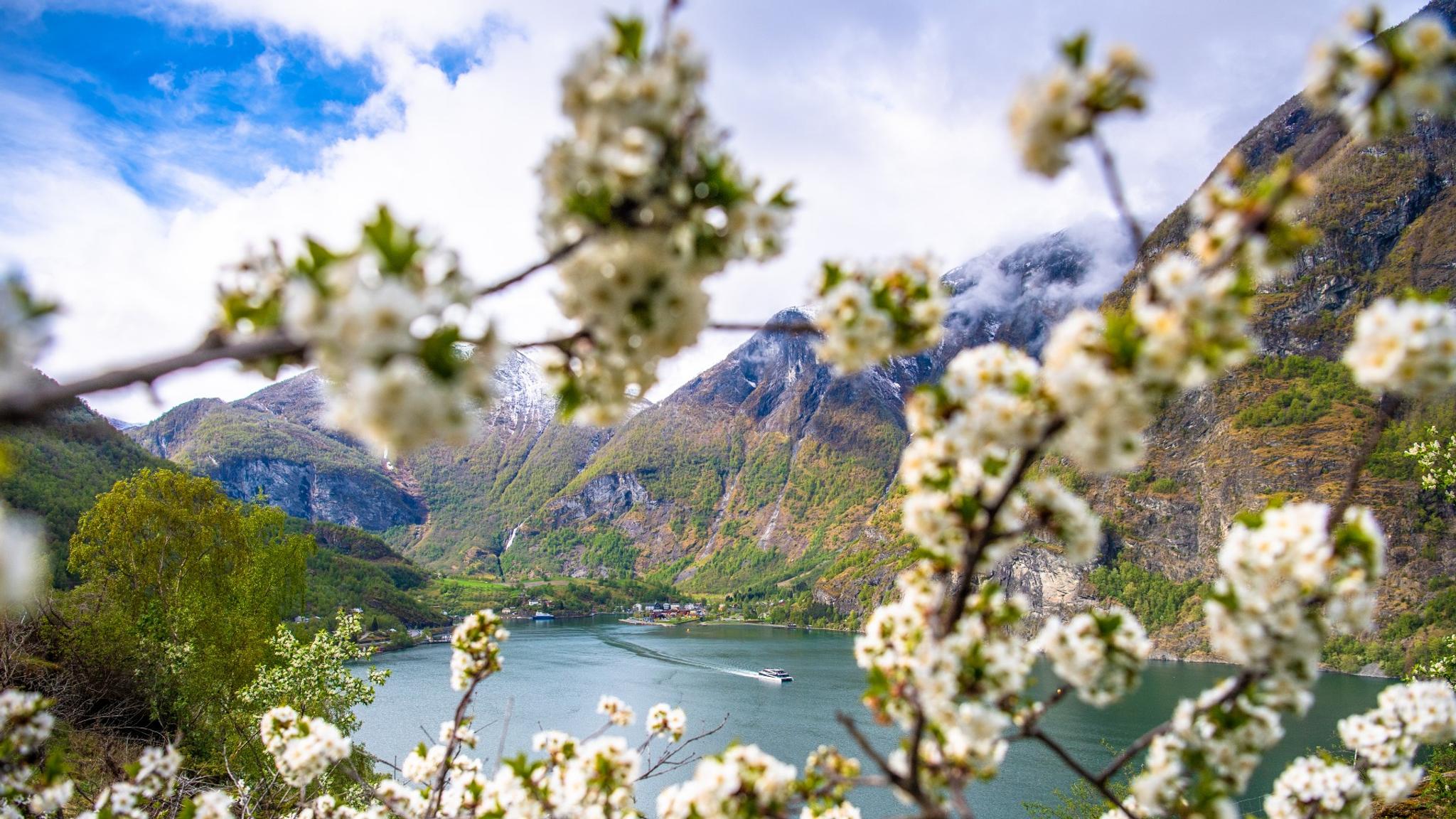 Flåm