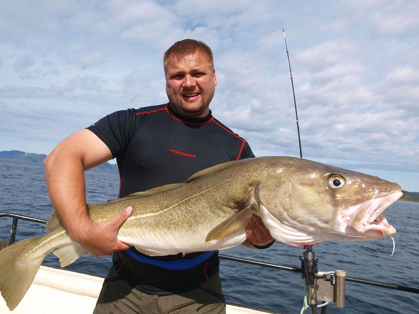 Gjest med en stor torsk (Fisk)