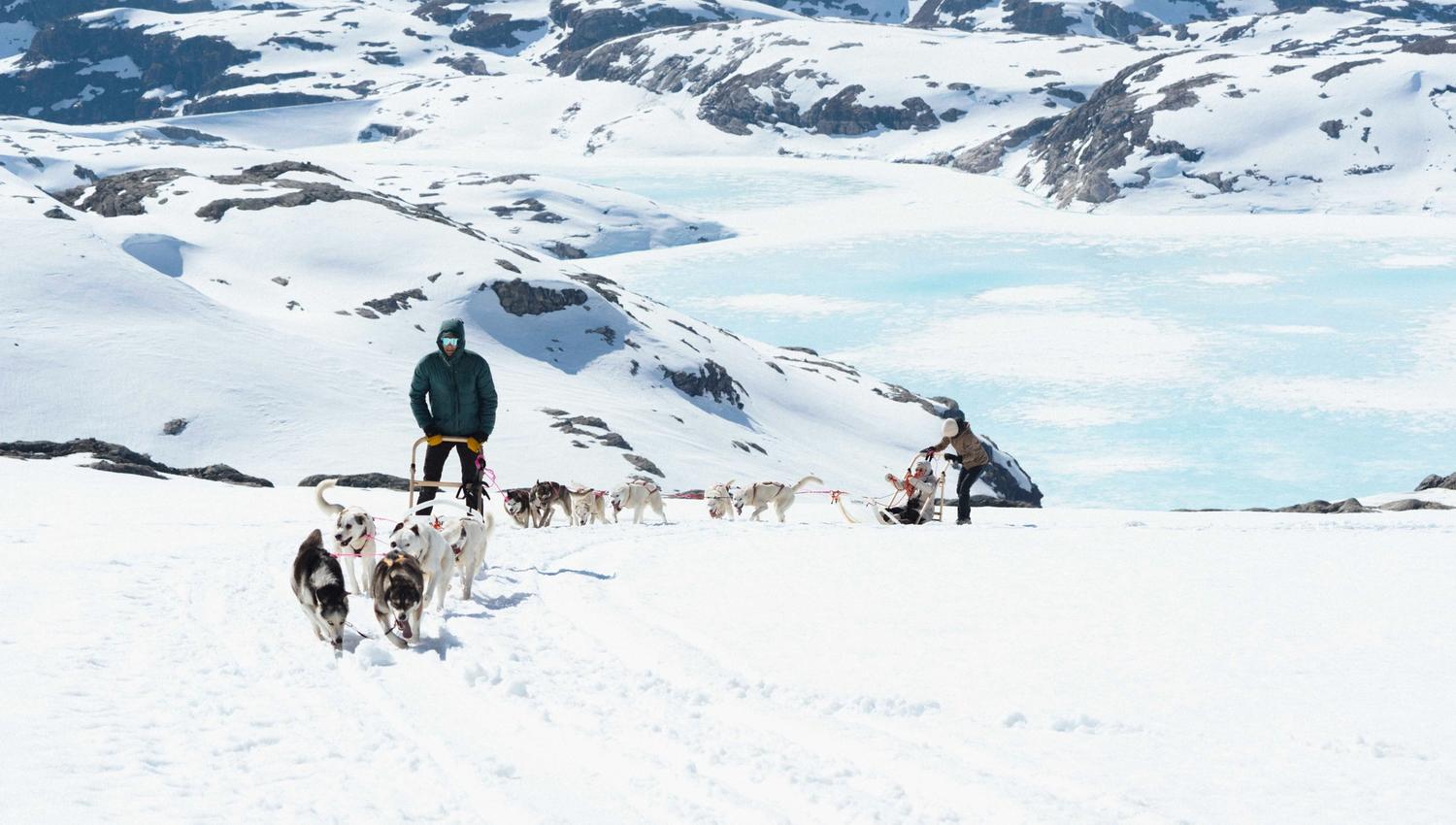 Dogsledding through the snow at folgefonna with a frozen water and mountains in the background.