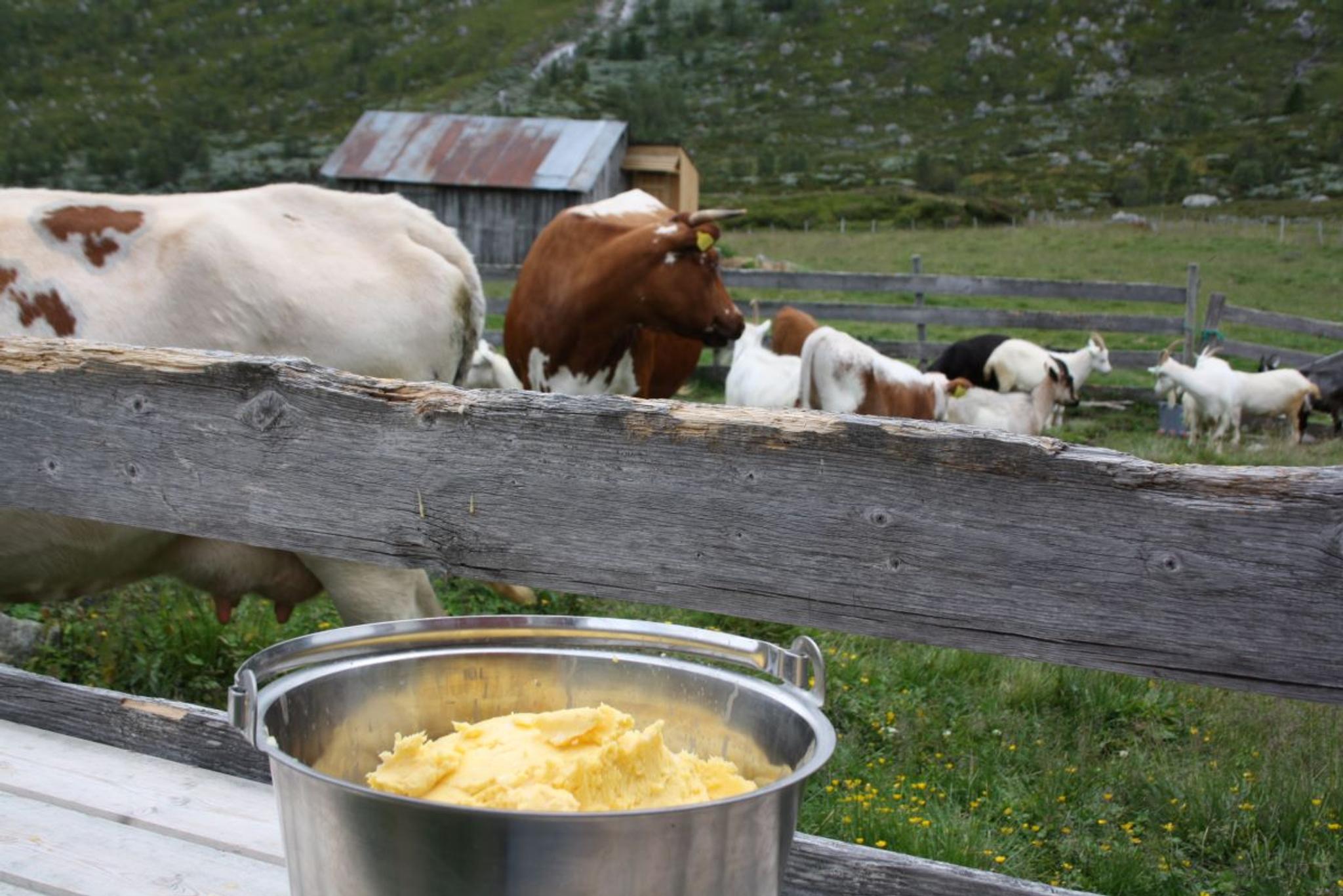 Sanddalstølen
