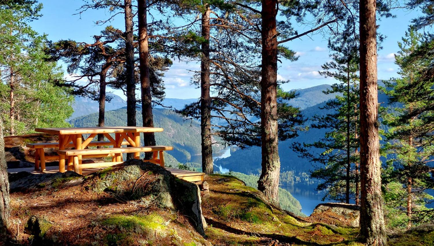 Kviteseid_sommer_Elisabeth-Riis_rasteplass-tveitgrendløypa_1200x900