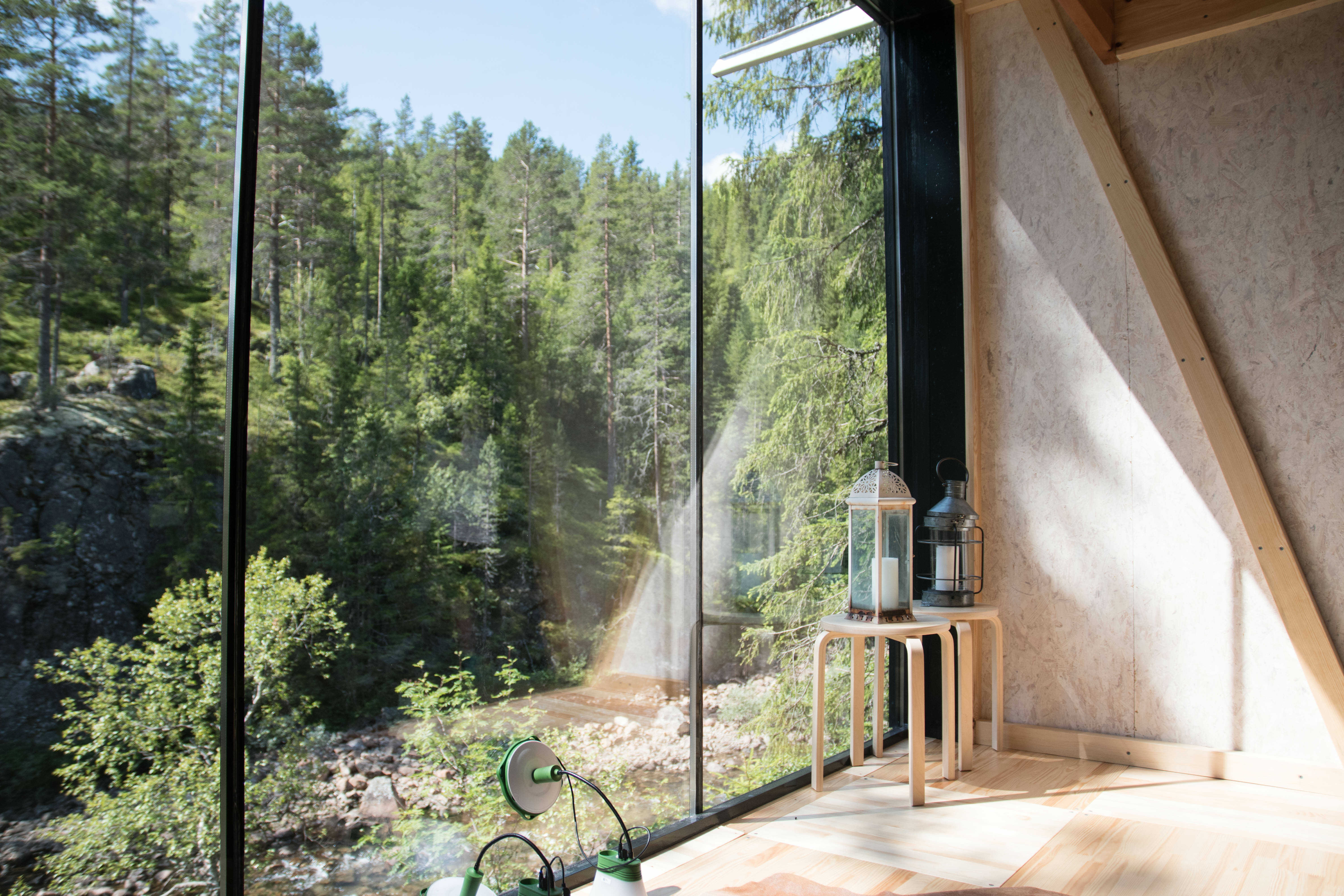 view from the inside of the treetop cabin at Å Camp