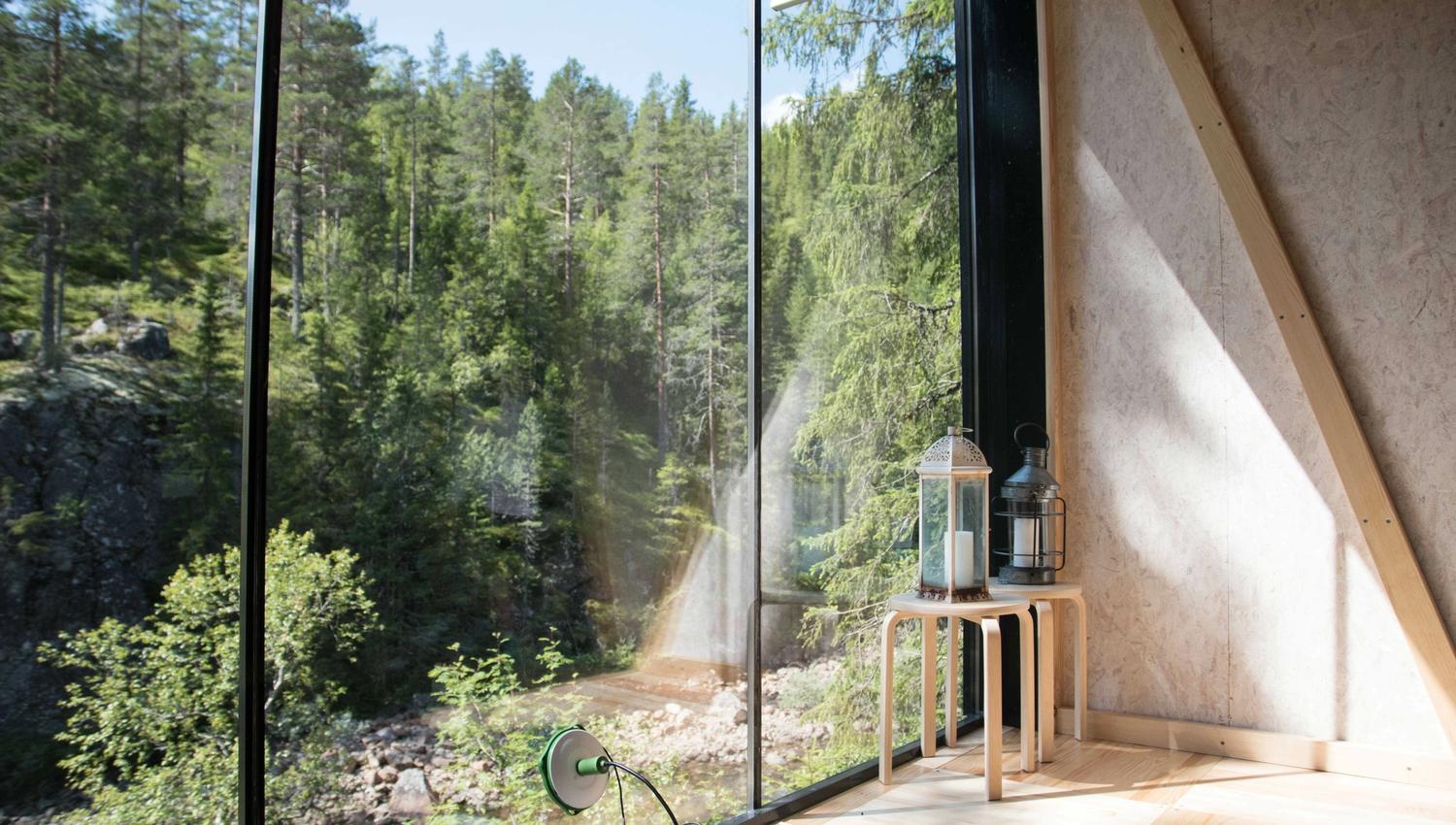 view from the inside of the treetop cabin at Å Camp