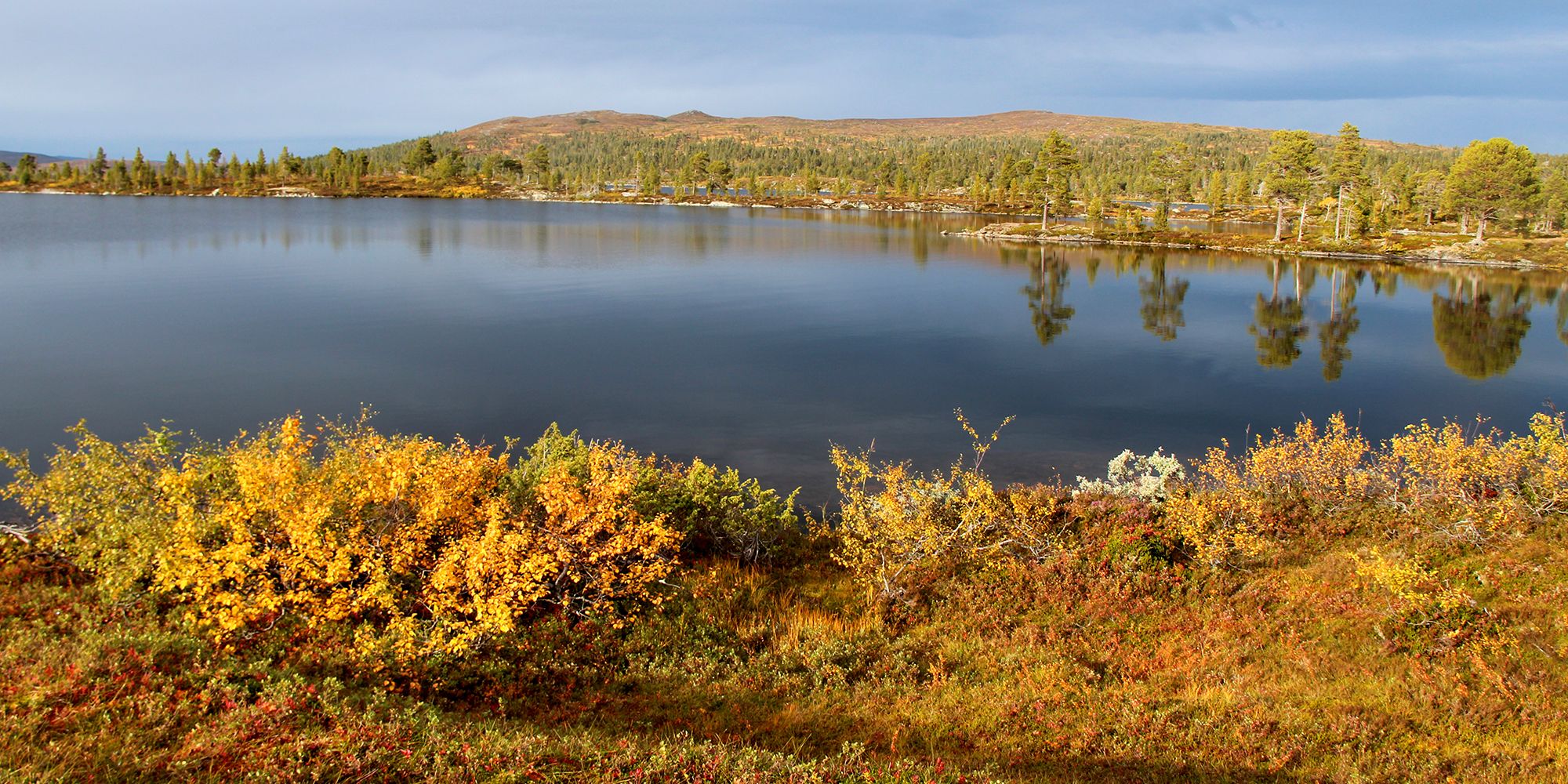Langvatnet - Snåsa Fjellstyre