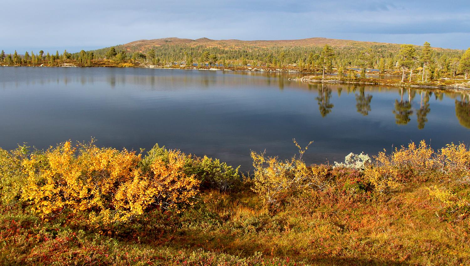 Langvatnet - Snåsa Fjellstyre