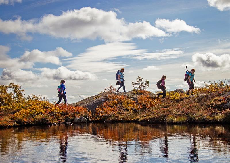på tur til Hægefjell