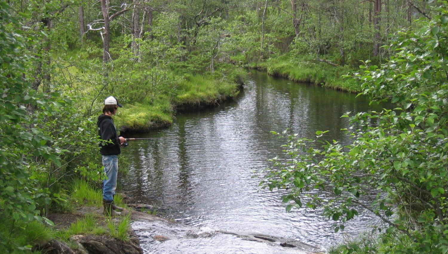 Stopp for å fiske litt ved Stokkamyr