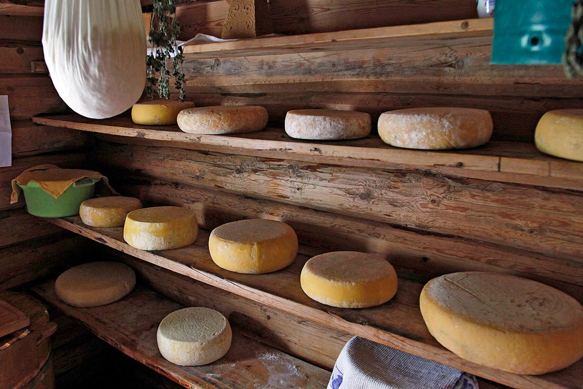 Farm made cheese at Sparstadtrøe summer mountain farm in Vang, Valdres, Norway.
