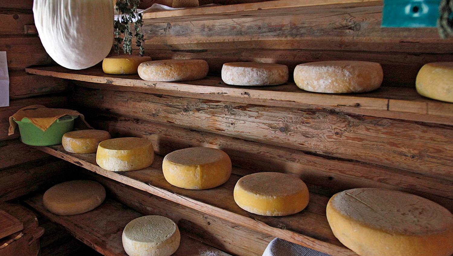 Farm made cheese at Sparstadtrøe summer mountain farm in Vang, Valdres, Norway.