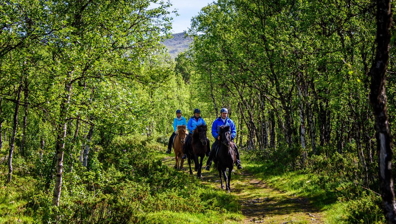 _IB81497-IanBrodie-VisitLillehammer