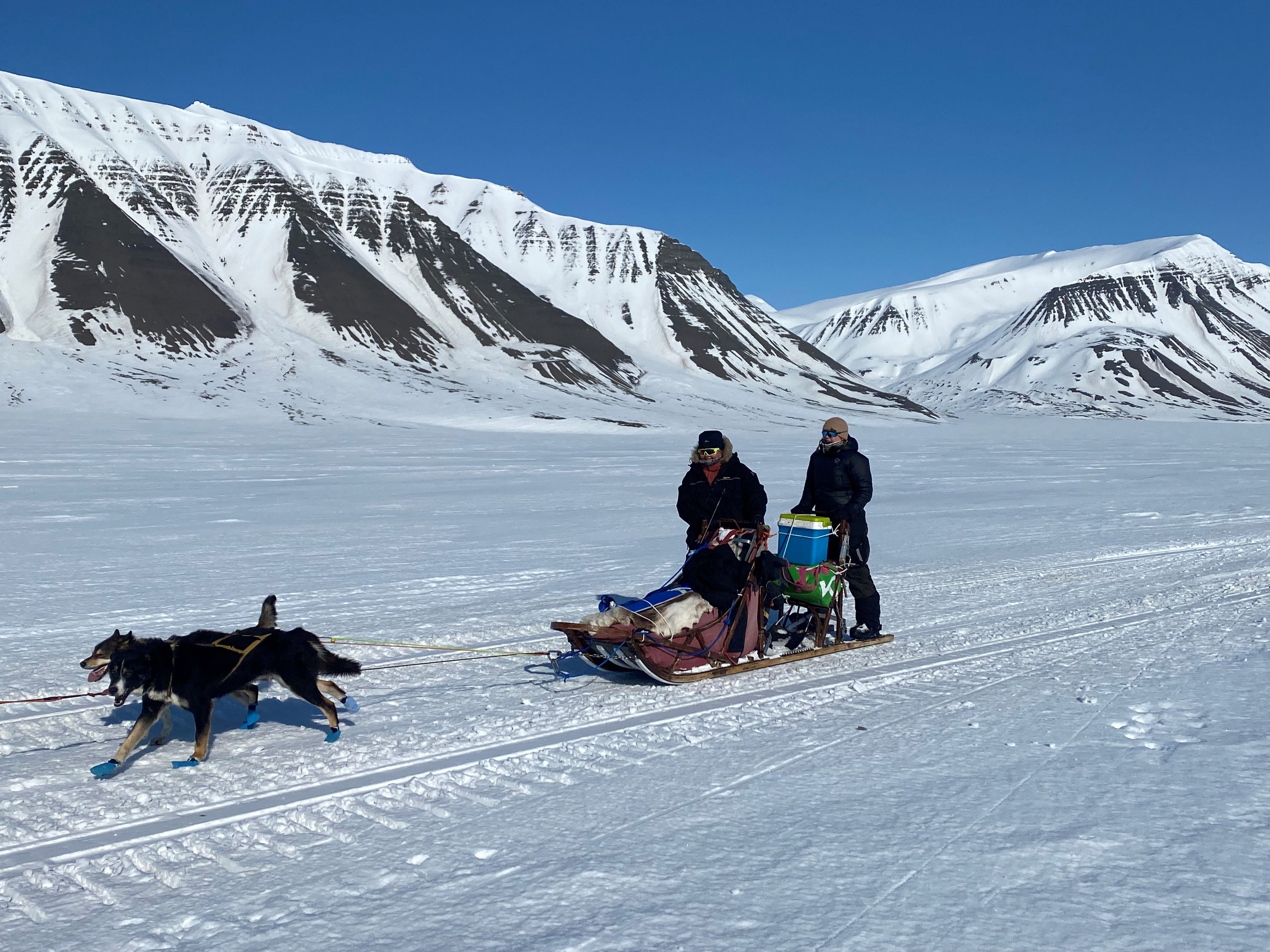 To personer på en hundeslede bak løpende hunder i et snødekt landskap med fjell og en blå himmel i bakgrunnen