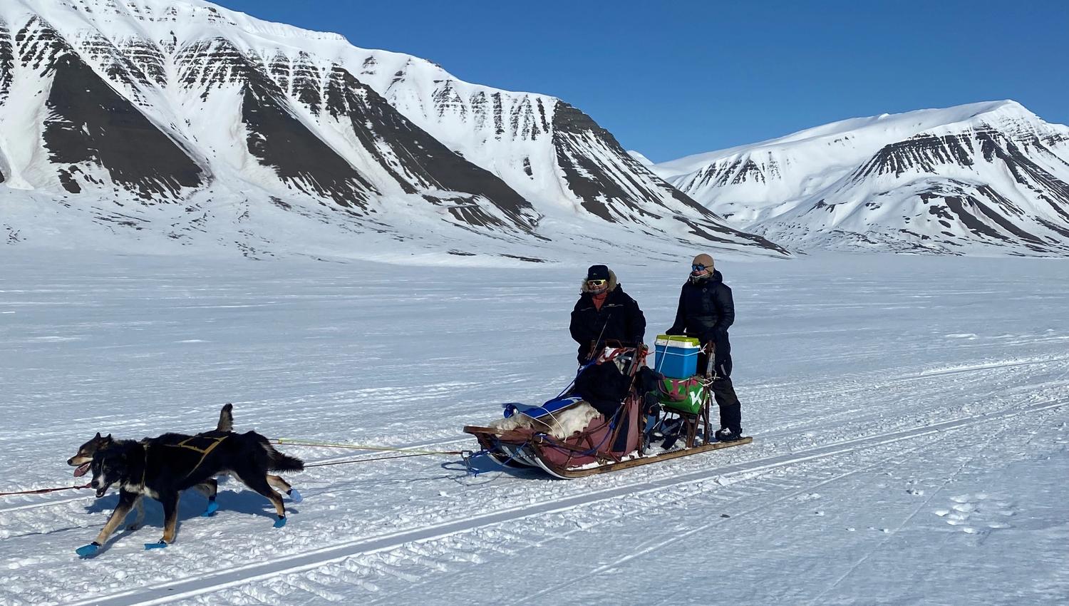 To personer på en hundeslede bak løpende hunder i et snødekt landskap med fjell og en blå himmel i bakgrunnen