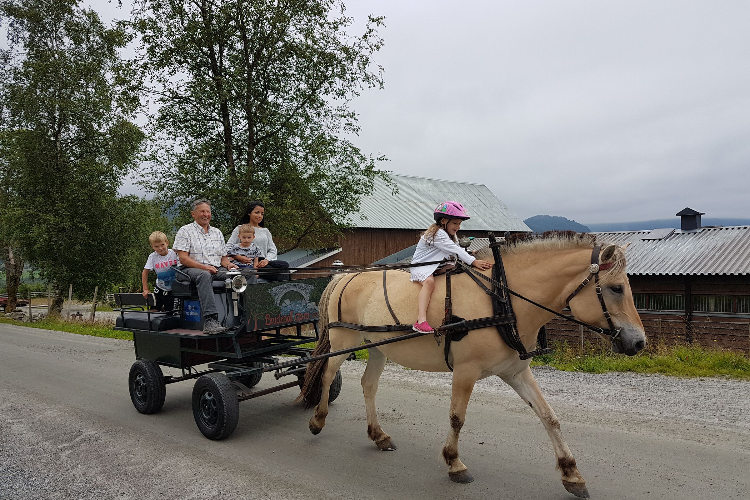 Bli med på hest- og kjerretur på Brudevoll Gard