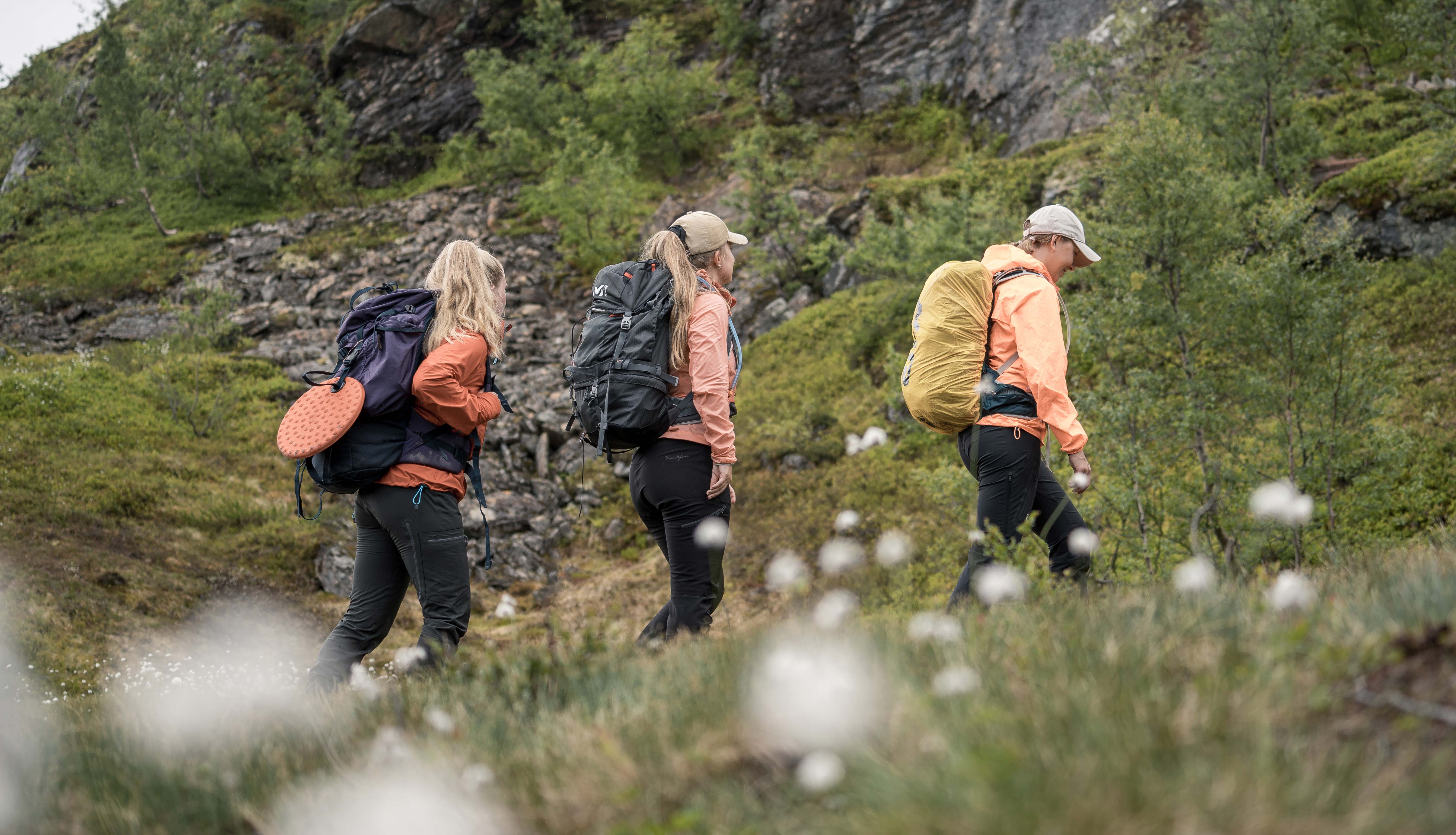 Turgåarar går langs ein sti i fjellandskapet på Dronningstien.