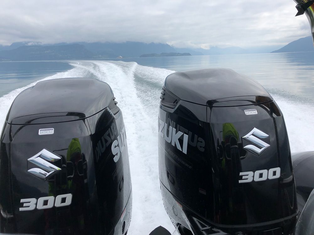 Powerful Suzuki 300 engines provide speed and excitement on the Norheimsund RIB Seafari in the Hardangerfjord.