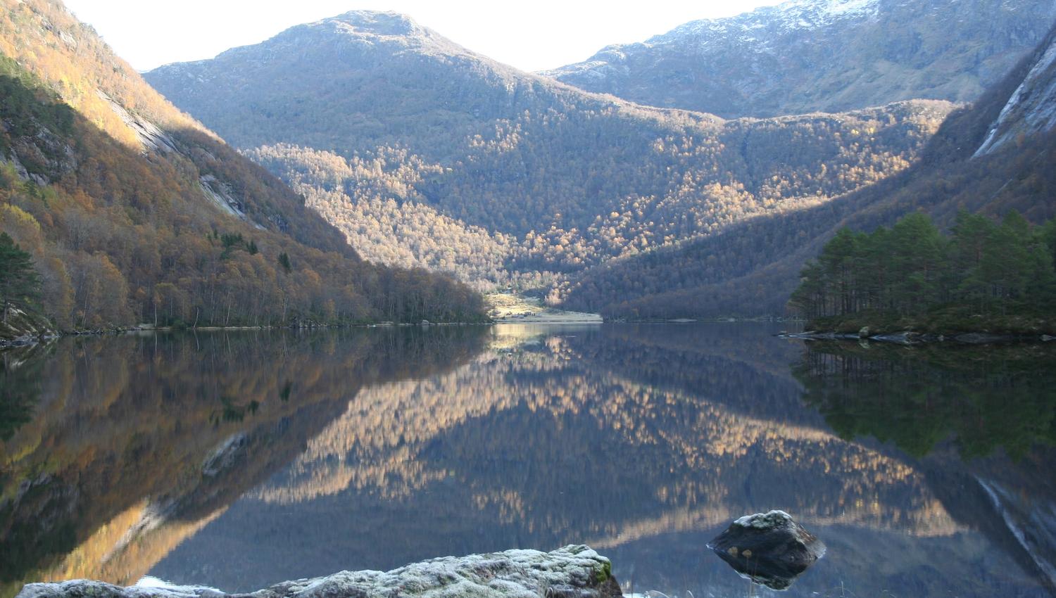 Lake Torsnesvatnet reflecting the autumn colors of the mountains – a tranquil scene from Fjelltveit in Hardanger.