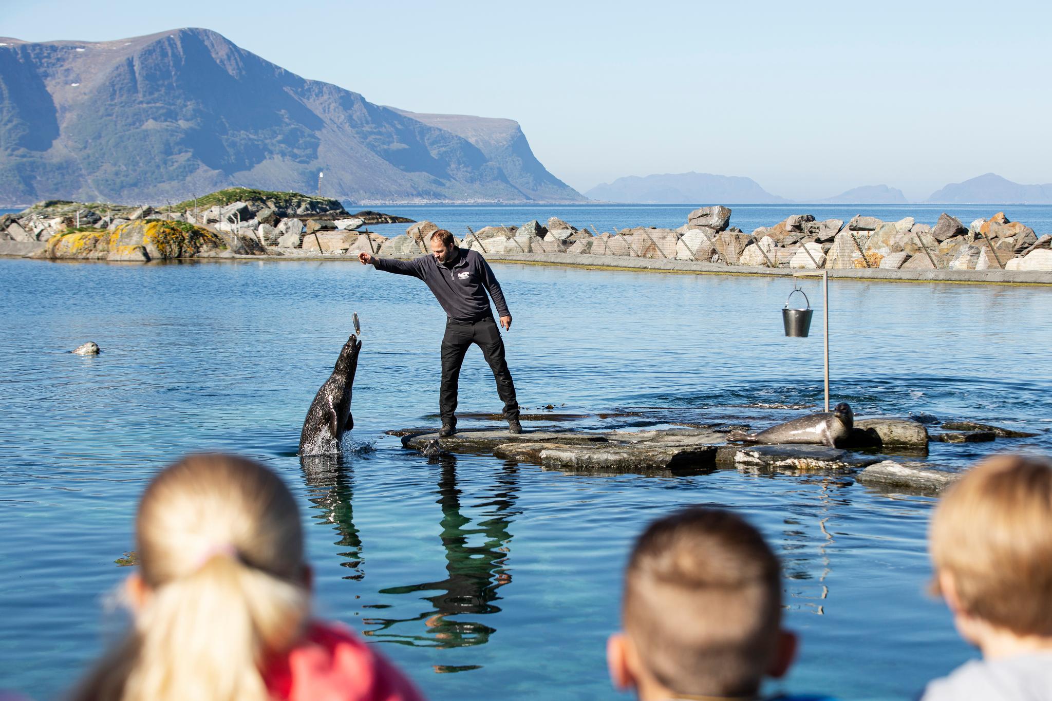 The Atlantic Ocean Park in Ålesund