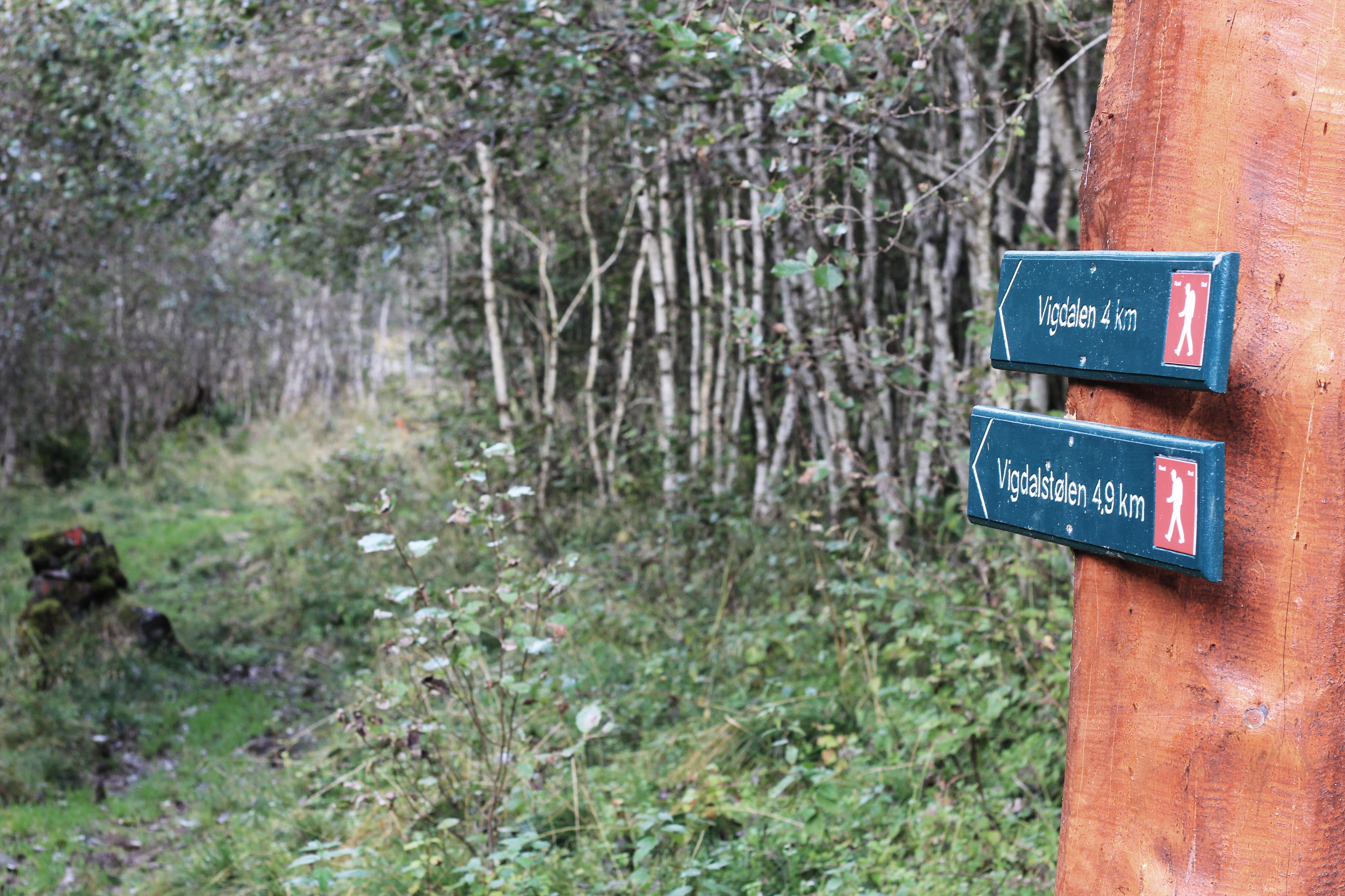 Dalsdalen - Vigdalstøl hiking