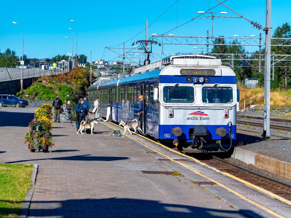 Blått og hvitt persontog står ved en stasjonsplattform mens folk og hunder venter under klar blå himmel..