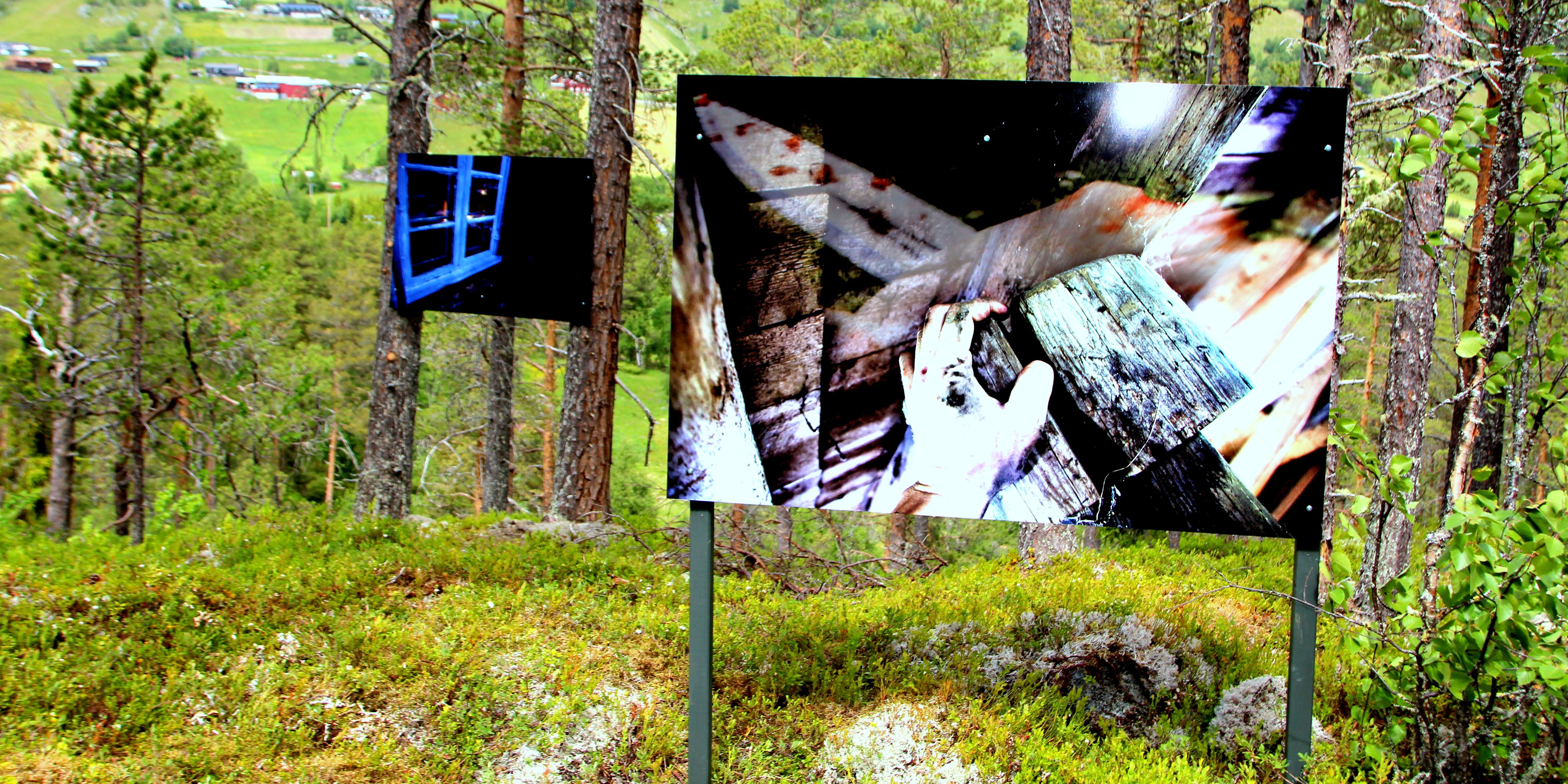 Fotoutstilling sommaren 2014