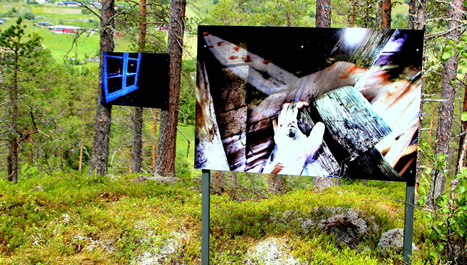 Fotoutstilling sommaren 2014