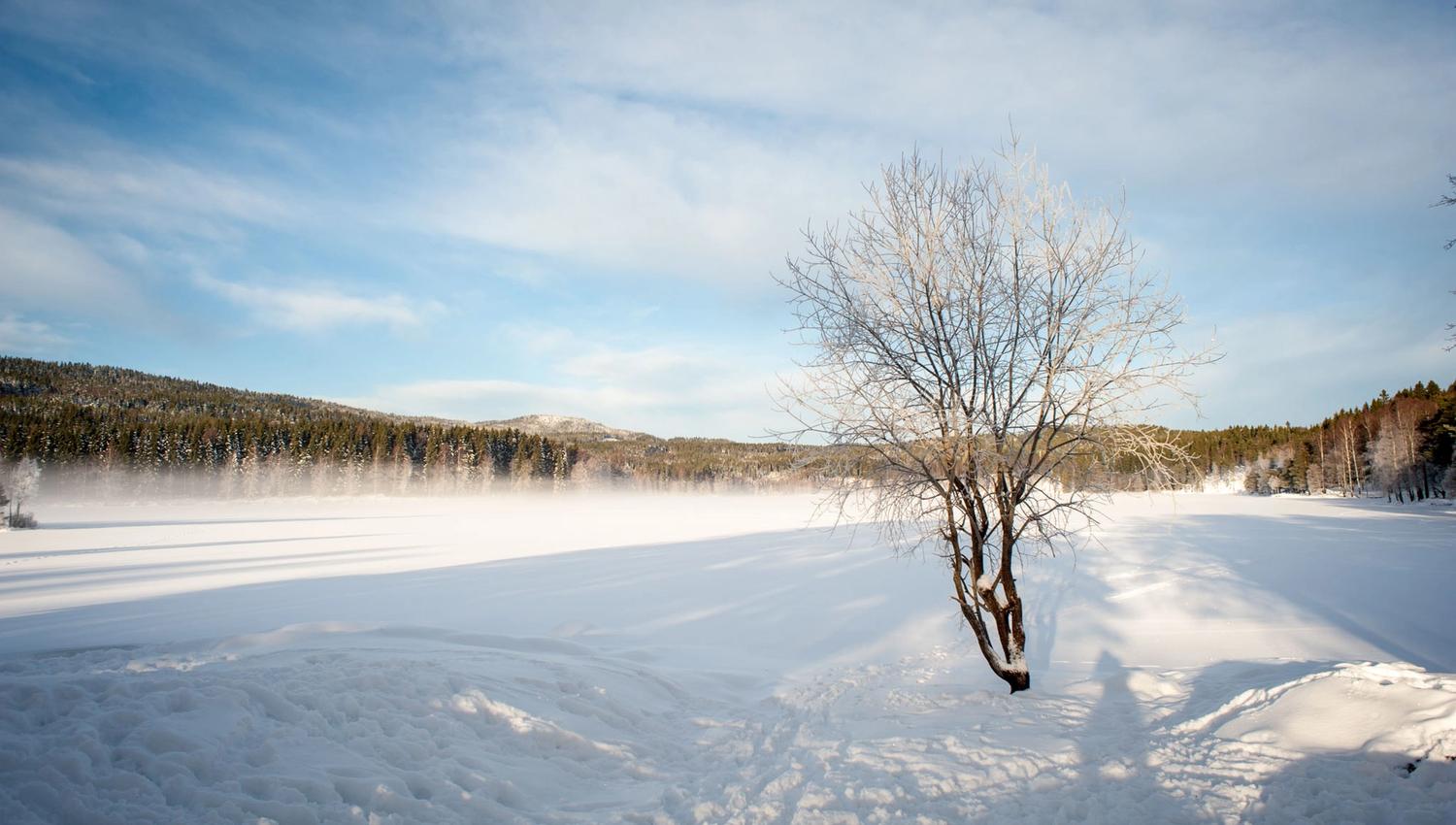 Lake covered in snow.