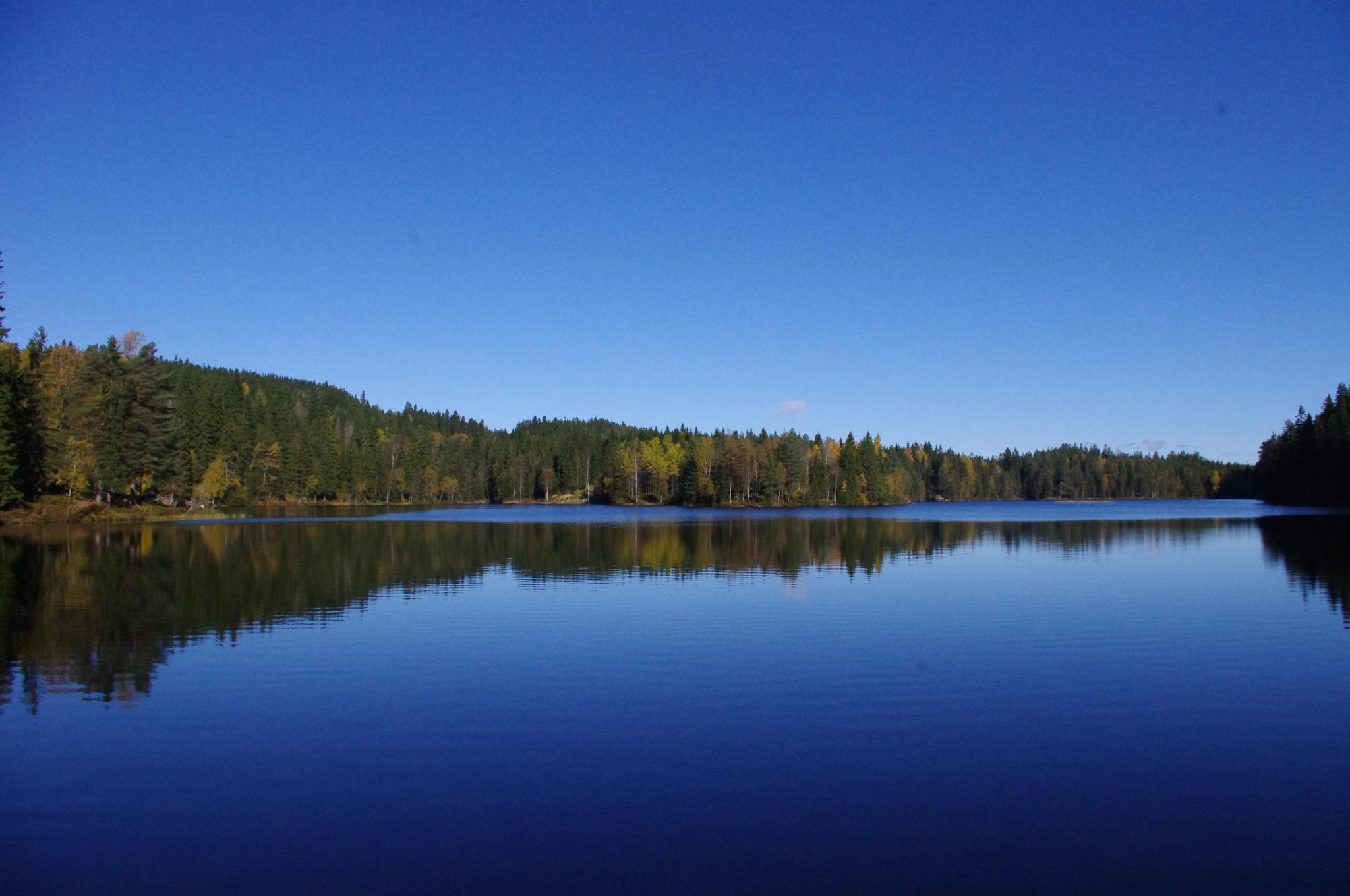Aurevann.