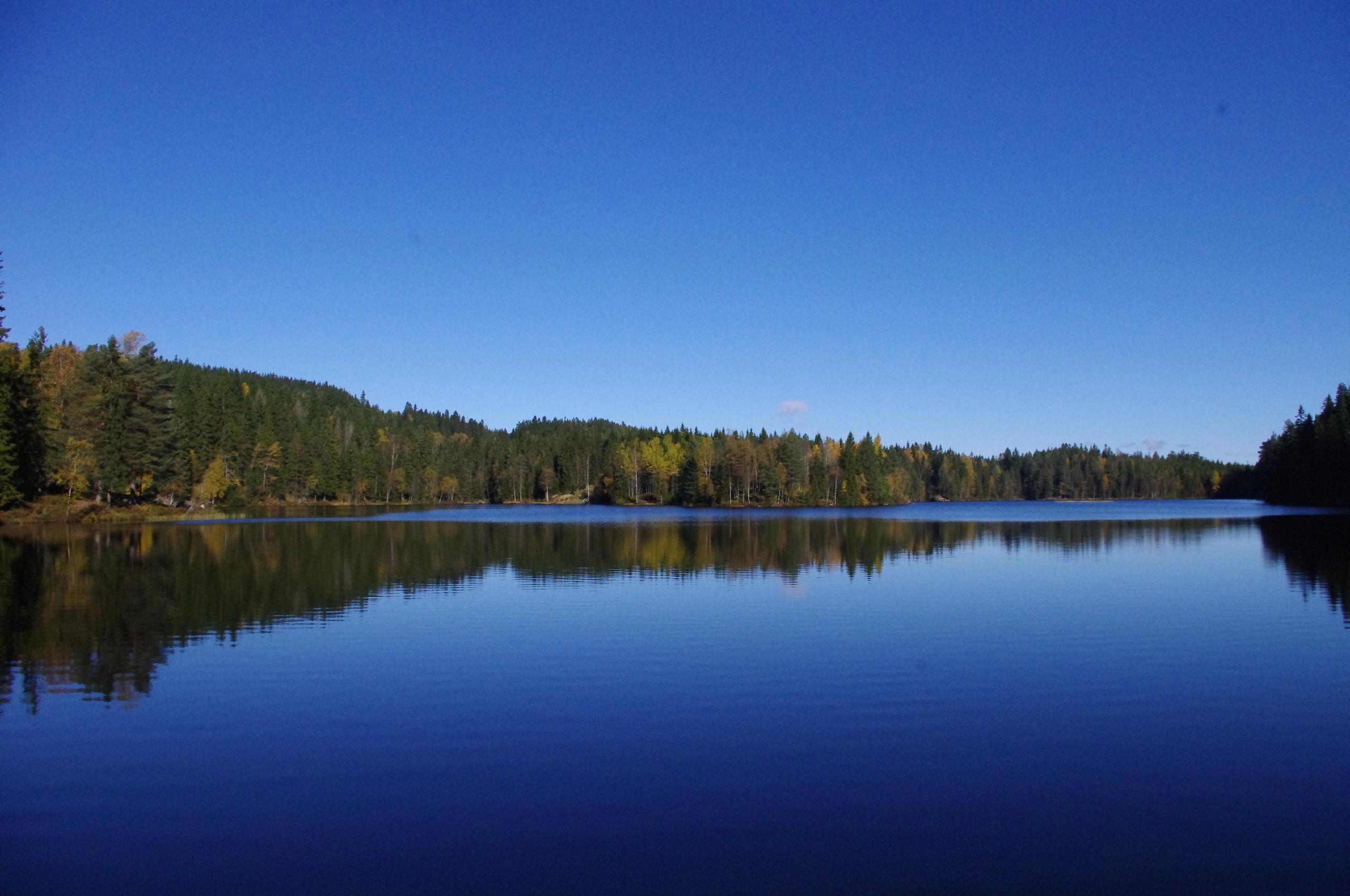 Aurevann.