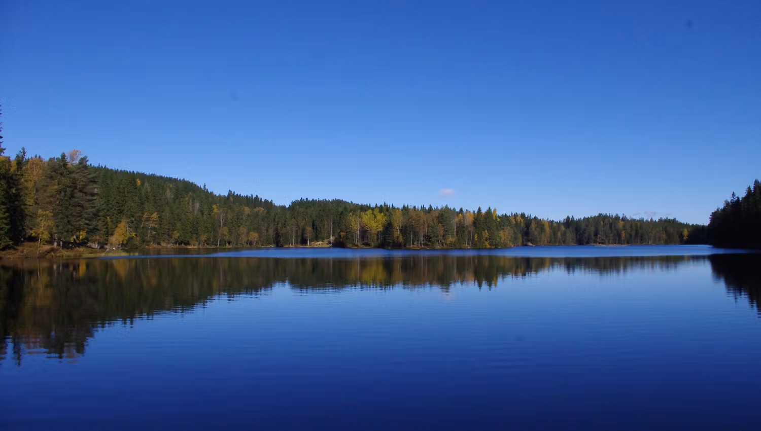 Aurevann.