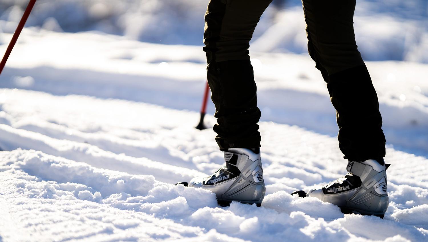 Skisko