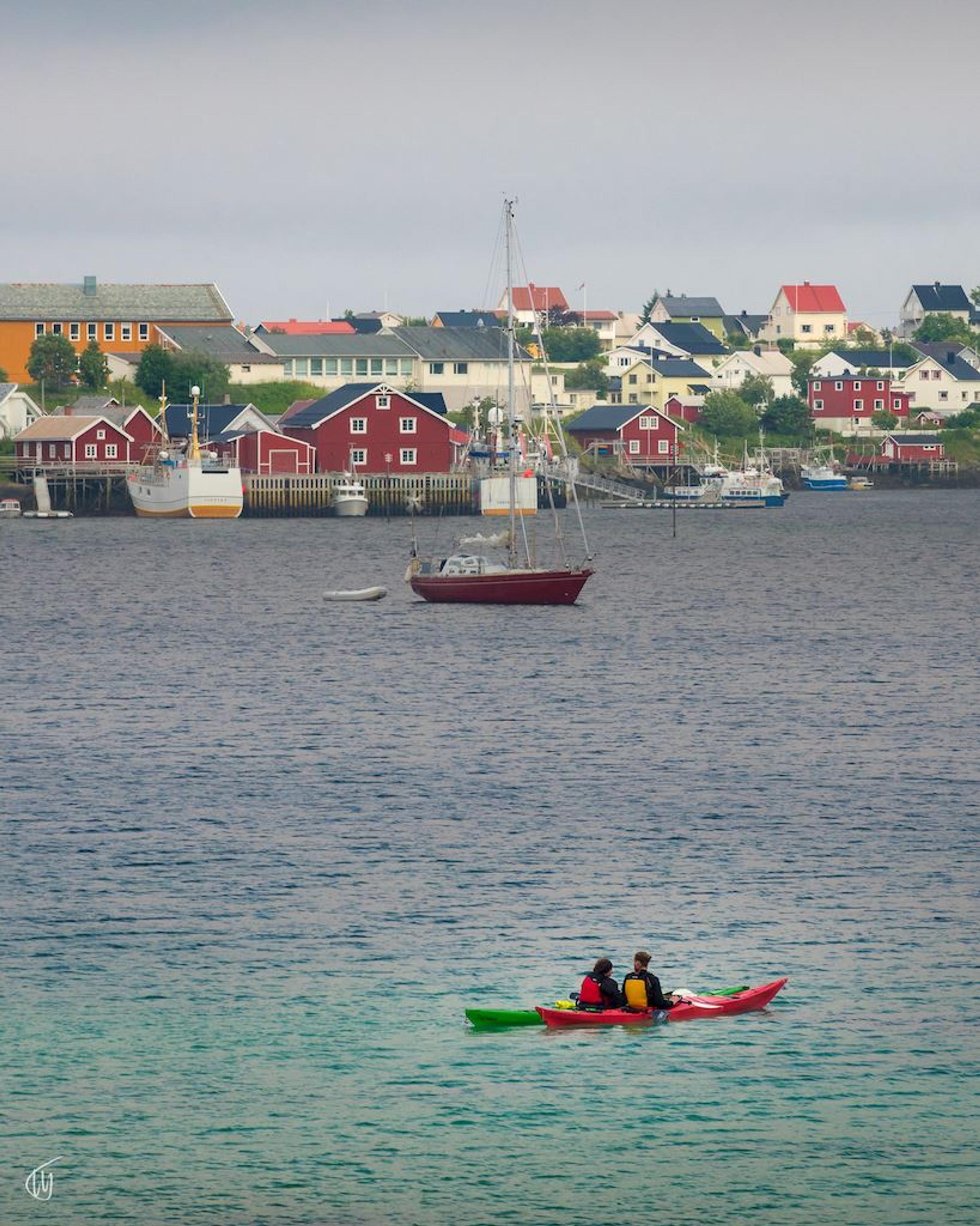 2-hour morning or evening guided kayak tour summer