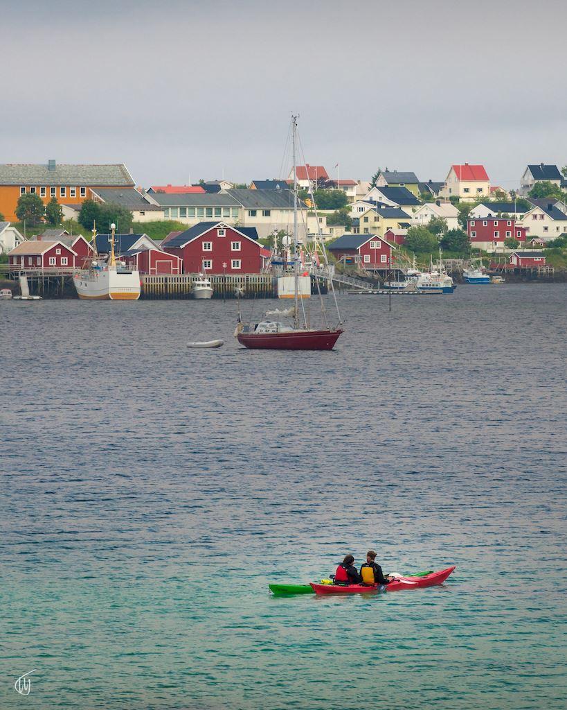 2-hour morning or evening guided kayak tour summer