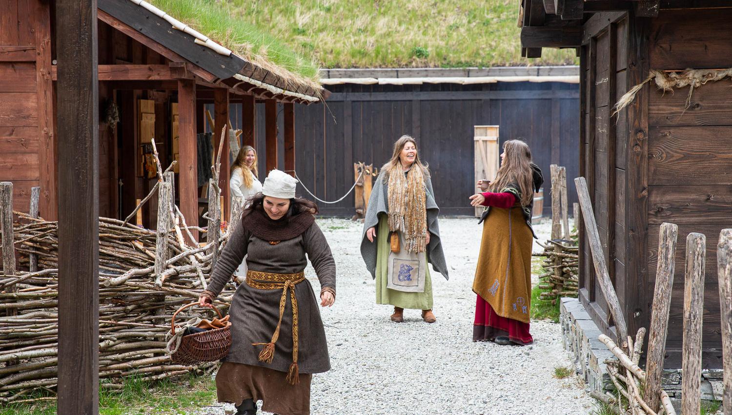 Vikinglandsbyen Njardarheimr