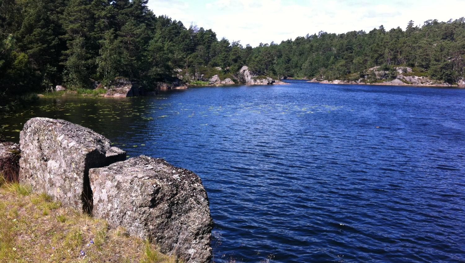 A lake with a forest in the background