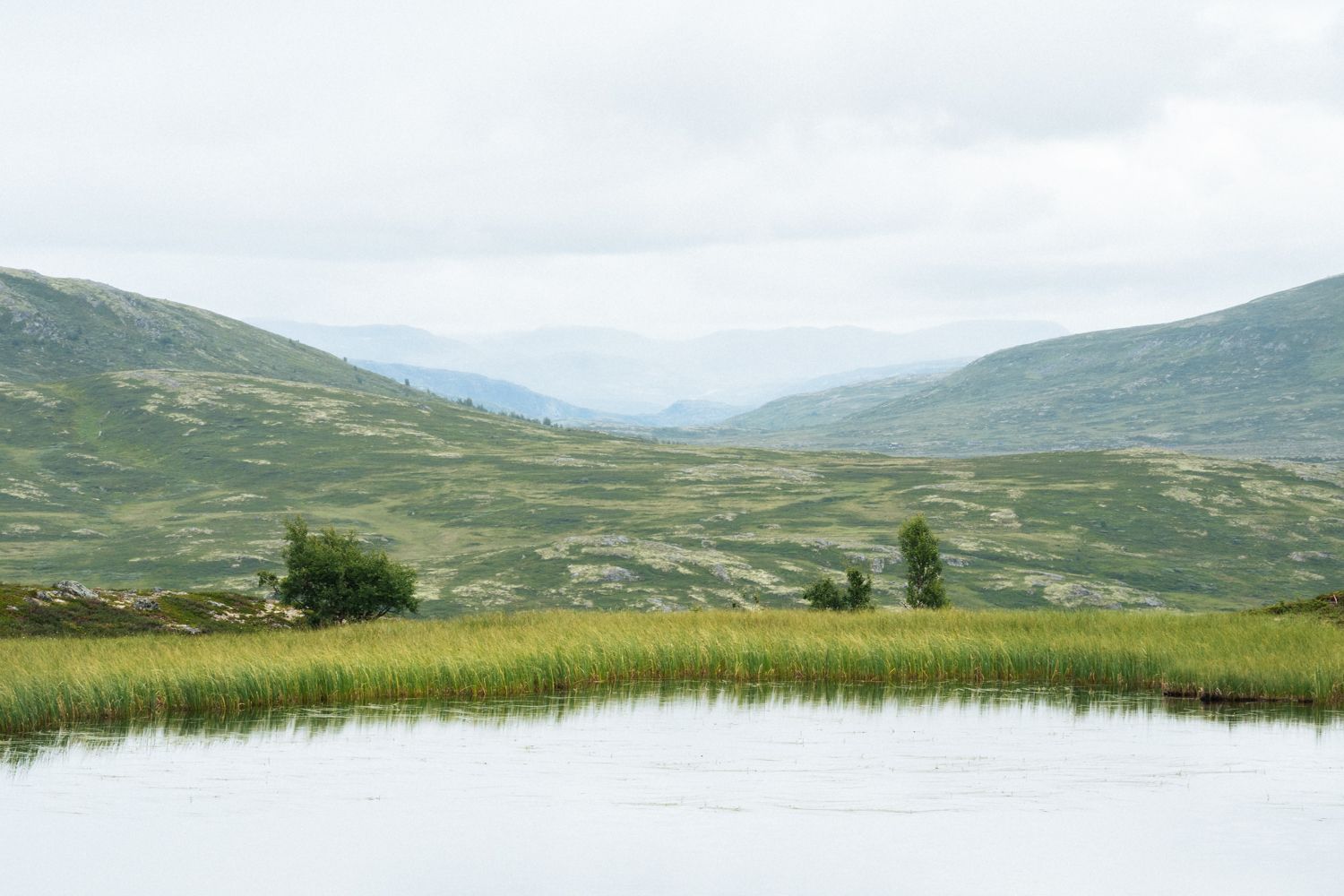 A mountain lake, surrounded by reeds, with several mountains on the horizon.