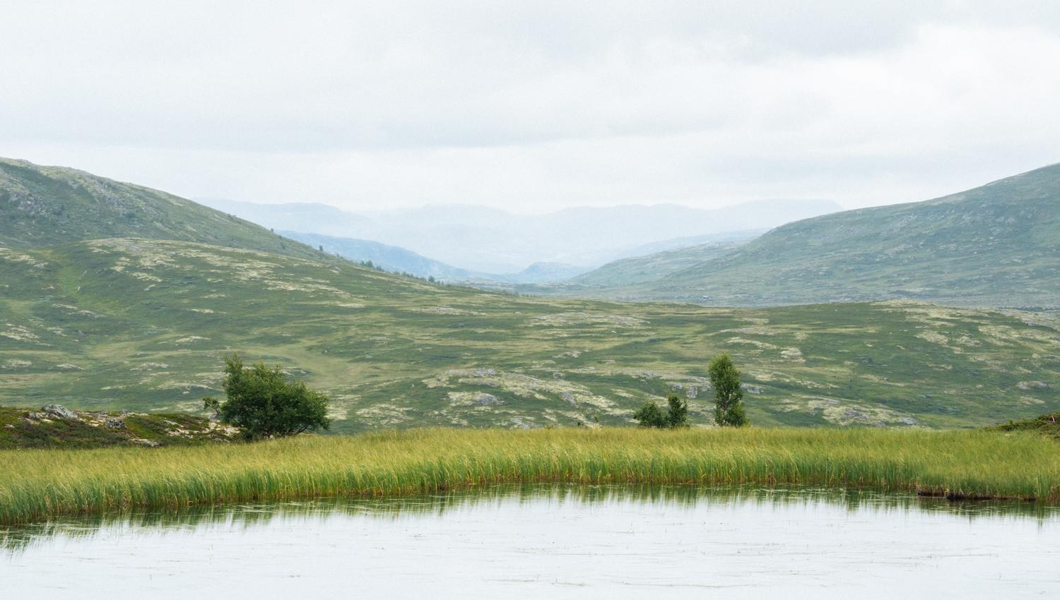 A mountain lake, surrounded by reeds, with several mountains on the horizon.