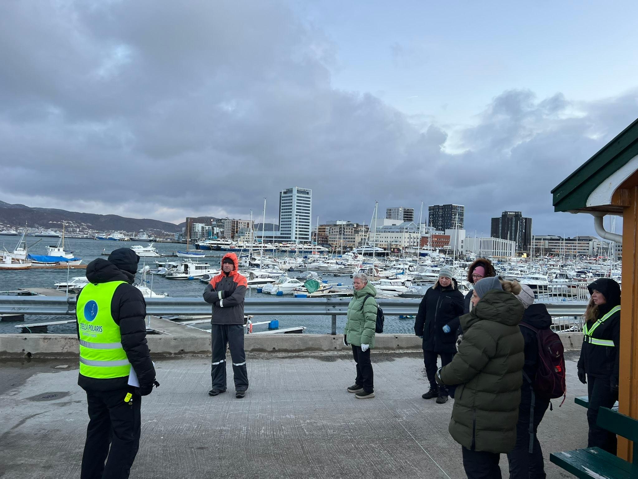 Arktisk byvandring i Bodø