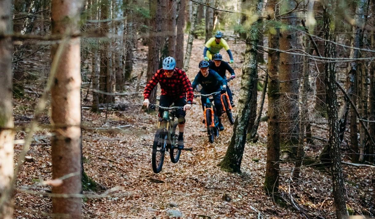Trail cycling in the archipelago