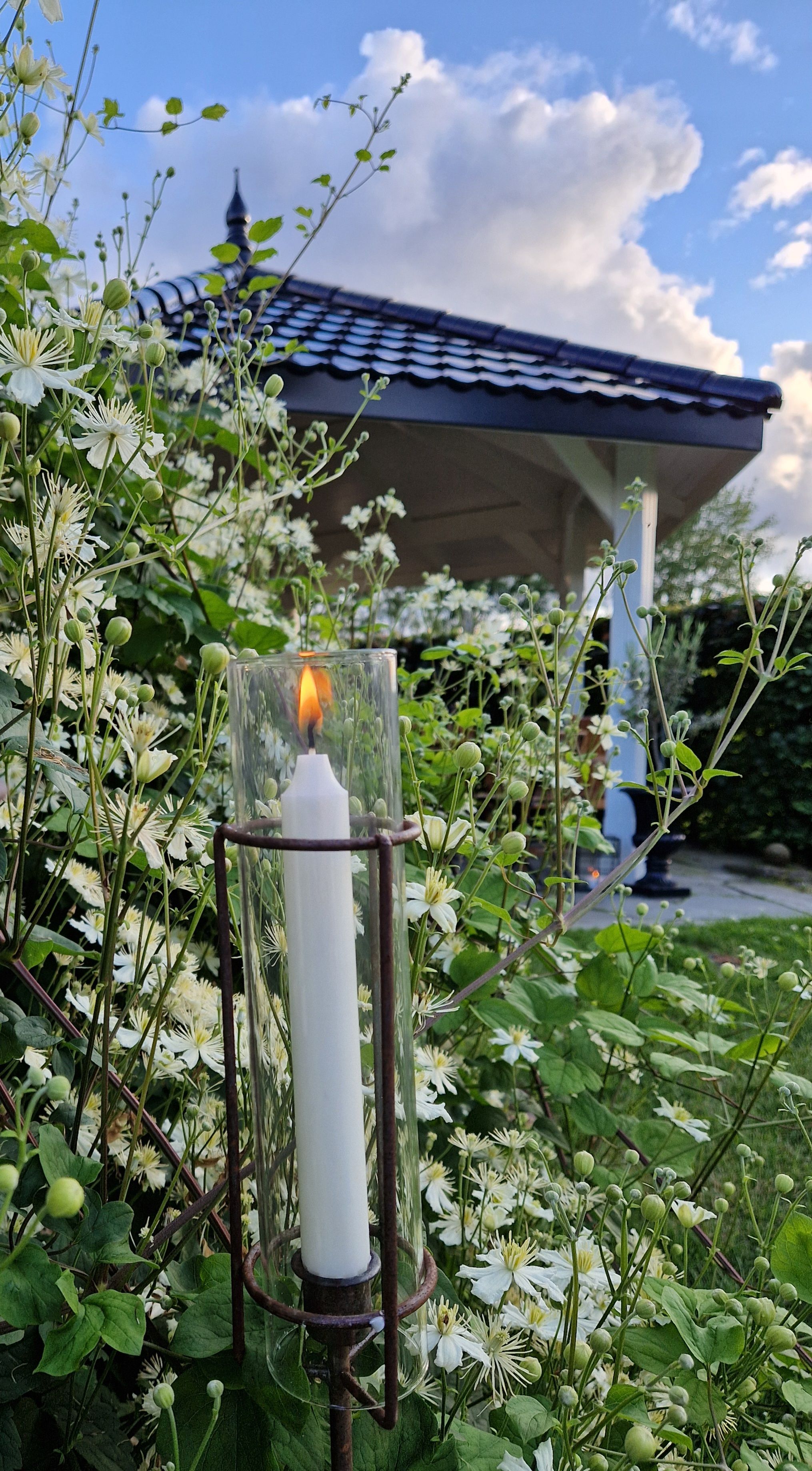 Blomstring og lys