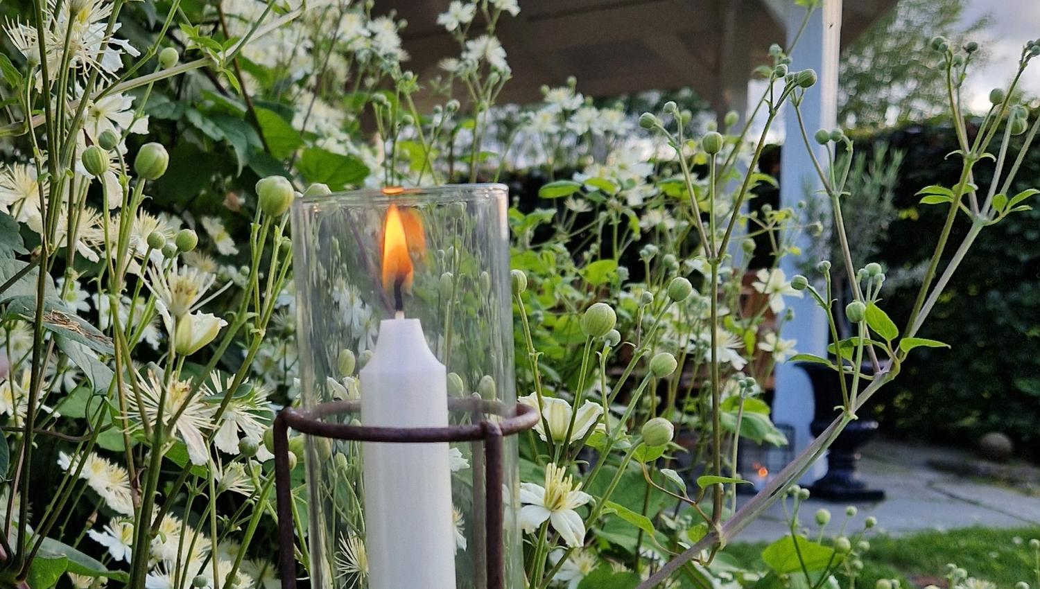 Blomstring og lys